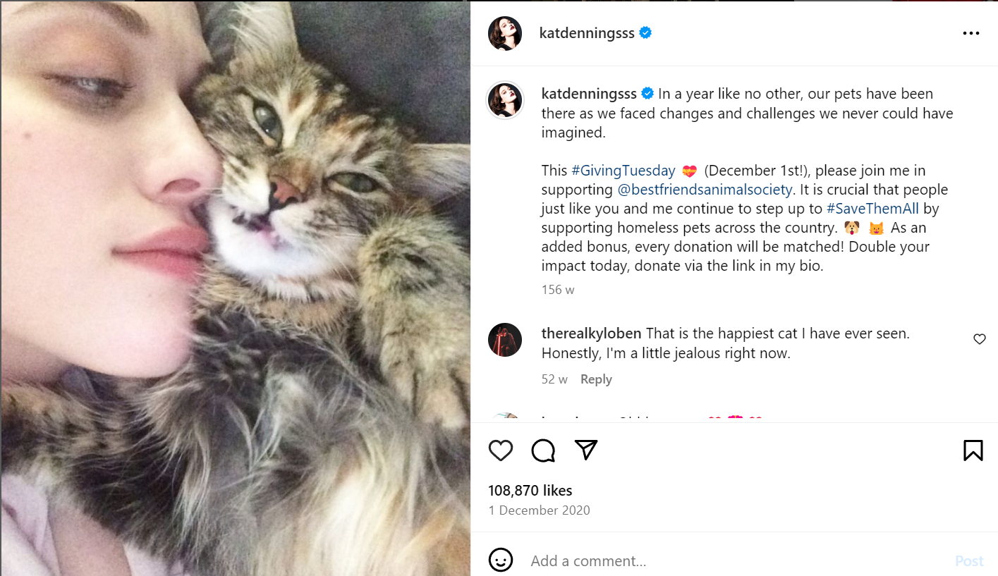 Kat Dennings's Cat Instagram Post